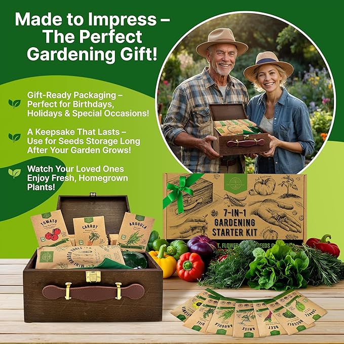 Organo Republic Medicinal & Tea Herb Seeds Variety Pack for Indoor & Outdoors - 75 Variety Pack. Non-GMO Heirloom Garden Seeds: Rosemary, Cilantro, Basil, Oregano, Parsley, Dill, Lavender, Catnip - Bloomnest