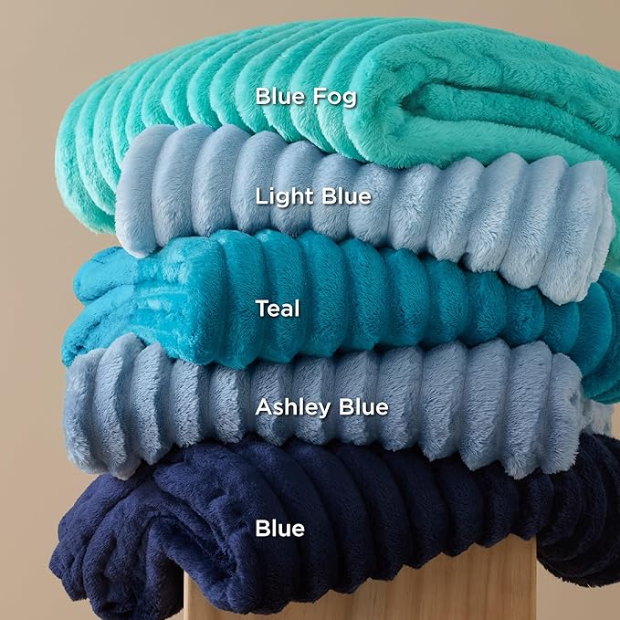 Bedsure GentleSoft King Blanket for Couch - Cozy Soft Blankets for Women, Cute Large Throws for Girls, Ashley Blue, 108x90 Inches - Bloomnest
