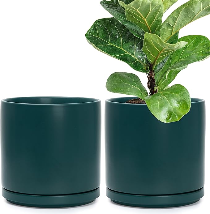 D'vine Dev Set of 2 Plants Pots, 10 Inch Ceramic Planter Pot for Plants with Drainage Hole and Saucer, Teal, 94-V-E-9 - Bloomnest