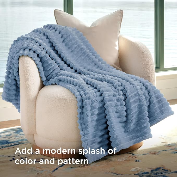 Bedsure GentleSoft Twin Blanket for Couch - Cozy Soft Blankets for Women, Cute Small Throws for Girls, Ashley Blue, 60x80 Inches - Bloomnest