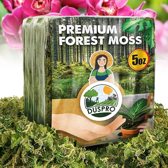 DUSPRO Dried Moss for Potted Plants, Forest Orchid Moss for Potting Mix, Sphagnum Potting Moss for Plants Indoor, Real Moss Soil Cover for Houseplant (5 OZ) - Bloomnest