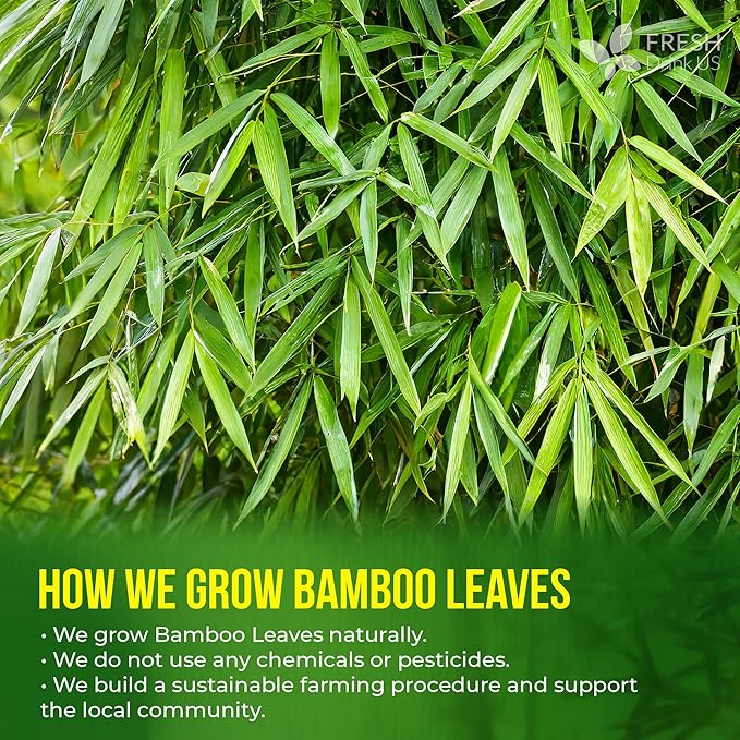FreshDrinkUS, Premium Bamboo Leaf Tea Bags | 75 Count | Naturally Light & Refreshing Caffeine-Free Herbal Tea – From 100% Natural Bamboo Leaves. Sugar-Free. Vegan - Bloomnest