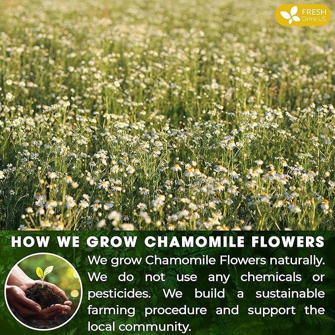 FRESHDRINKUS, Premium 25 Chamomile Tea Bags, 100% Natural and Pure Chamomile Flowers, Eco-conscious Tea Bags. Chamomile Flower Herbal Tea. No Sugar, No Caffeine, No Gluten, Vegan. - Bloomnest