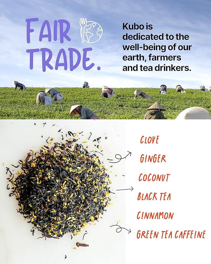 Kubo Tea, Coconut Chai Black Tea, Organic High Caffeine Blend, 20 Servings (155mg Caffeine each), Pyramid Tea Bags, Compostable & Biodegradable Packaging, Brew Hot or Iced, Healthy Coffee Substitute - Bloomnest