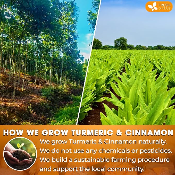 FreshDrinkUS, Premium 135 Turmeric Cinnamon Tea Bags, 100% Natural, Blend of Turmeric, and Cinnamon. Made with Natural Material Tea Bags. No Sugar. No Caffeine. Vegan. - Bloomnest