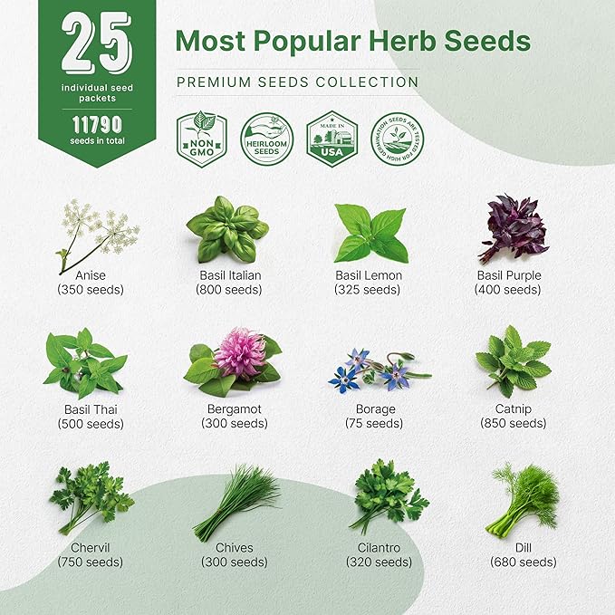 25 Most Popular Herb Seeds Variety Pack - 11,700 Non-GMO Heirloom Seeds for Planting Herbs in Individual Seed Packets for Hydroponic, Indoor & Outdoor Gardening - Bloomnest