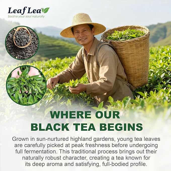 LeafLea 80 Black Tea Bags, Premium Black Tea Leaves, Rich Bright and Firmly Astringent, Promotes Digestive Comfort & Steady Alertness, Caffeinated, Sugar-Free, Vegan, Enjoy Hot or Iced - Bloomnest