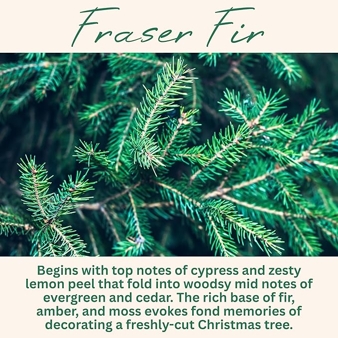 Fraser Fir Pine Scented Candle, Many Scents to Choose from, Christmas Tree Scented, All Natural Non-Toxic Soy Wax, Handmade in The USA (Fraser Fir) - Bloomnest