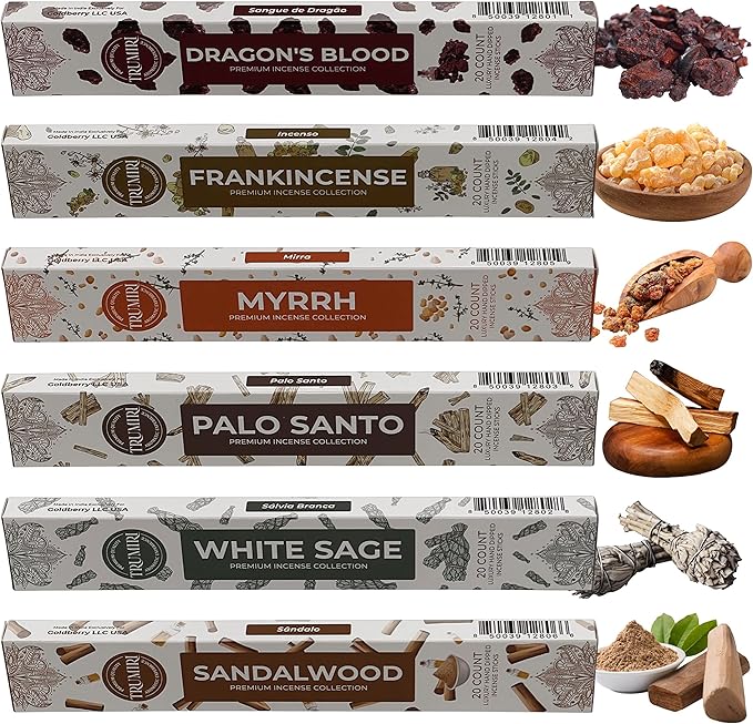 Woody Incense Sticks Variety Pack - 120 Insence-Sticks (6 Incents x 20 Insense) - White Sage Palo Santo Dragons Blood Sandalwood - Natural Inscents-Sticks Non Toxic Cleansing Incienso + Burner Holder - Bloomnest