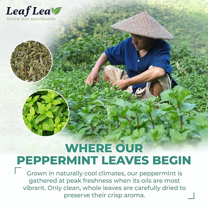 LeafLea 40 Peppermint Tea Bags, Natural Peppermint Leaf Herbal Tea with Cool Taste, Te De Menta for Gentle Digestive Support, Te De Hierba Buena, Caffeine-Free, Sugar-Free, Vegan, Individually Wrapped - Bloomnest