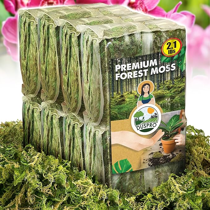 DUSPRO Dried Moss for Potted Plants, Forest Orchid Moss for Potting Mix, Sphagnum Potting Moss for Plants Indoor, Real Moss Soil Cover for Houseplant (2.1 LBS) - Bloomnest