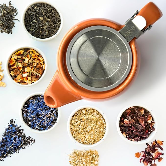 ORNA Ceramic Teapot with Tea Infuser – Small Tea Pot for Loose Leaf Tea – 550ml / 18.6 Oz Porcelain Non-Stove Teapot for 2 Cups with Tea Strainer (Orange) - Bloomnest