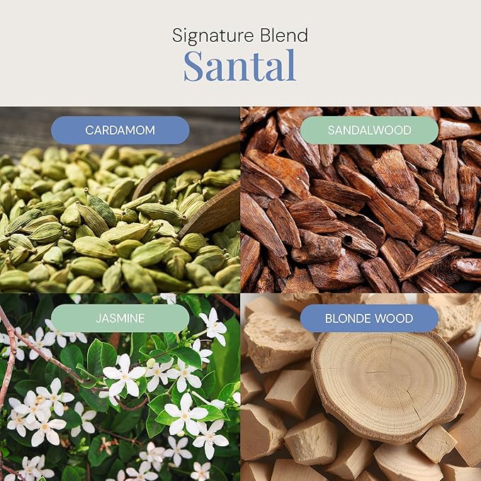 Santal Aroma Oil, Essential Oils Blend for Diffusers & Scent Machines, Sensual Sandalwood & Cardamom, Aromatherapy, Cold Air Diffuser Compatible, 300 mL - Bloomnest