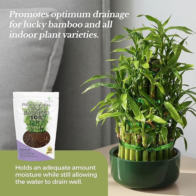Professional Lucky Bamboo Soil | Large 2.2 Quarts Ready to Use for Lucky Bamboo Plants | Peat Moss, Coco Coir, Perlite, Dolomite | Made in USA - Bloomnest