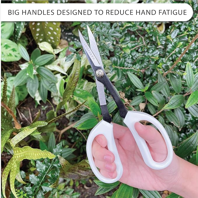 Precision Gardening Scissors Plant Trimming Pruning Shears Garden Pruners for Orchid Bonsai Hydroponic Flower Clipper Garden Snip 8 Inch Long - Bloomnest