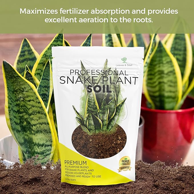 Professional Snake Plant Soil | Large 2.2 Quarts Ready to Use for Snake Plants | Peat Moss, Coco Coir, Perlite, Dolomite | Made in USA - Bloomnest