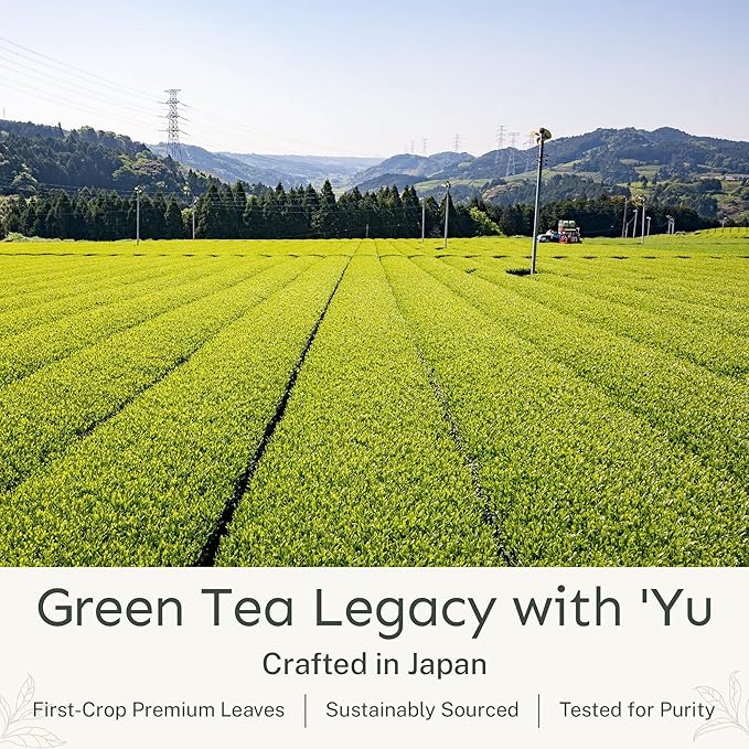 Yu Tea Organic Decaf Matcha Powder Ceremonial Grade, 30 Instant Packets | Rich in Antioxidants & L-Theanine, Low Caffeine | Unsweetened Grade A Japanese Green Tea Powder | Single Serve Sticks - Bloomnest