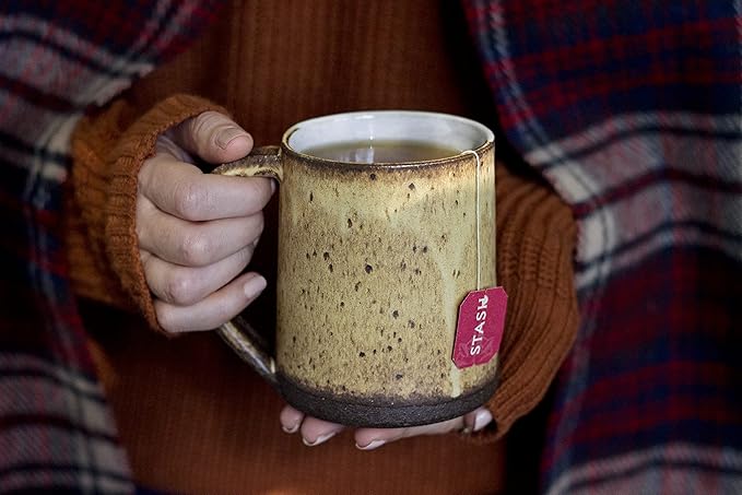 Stash Tea Holiday Chai Tea 18 Count Tea Bags (Pack of 6), Individual Spiced Black Tea Bags for Use in Teapots Mugs or Cups, Brew Hot Tea or Iced Tea - Bloomnest