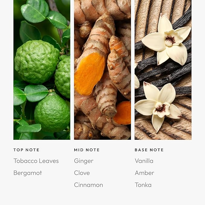 Aroma360 Pro Pod - Fragrance Oil Inspired Tobacco Vanille - Scent Includes Bergamot, Ginger & Vanilla - Smoke on The Water, 50mL/1.7 fl oz - Bloomnest