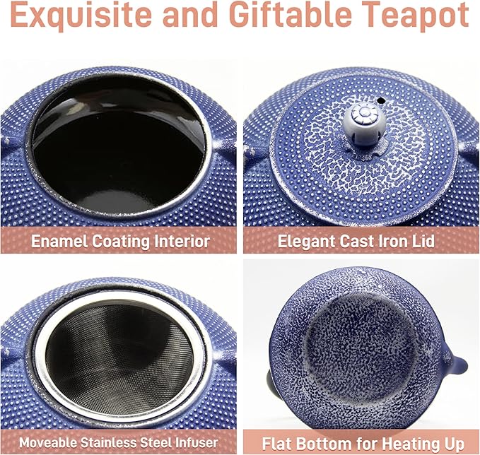 Cast Iron Teapot Tea Kettle with Stainless Steel Infuser for Stovetop Safe Coated with Enameled Interior Japanese Dark Blue Tetsubin for Loose Tea(30.4oz/900ml) - Bloomnest