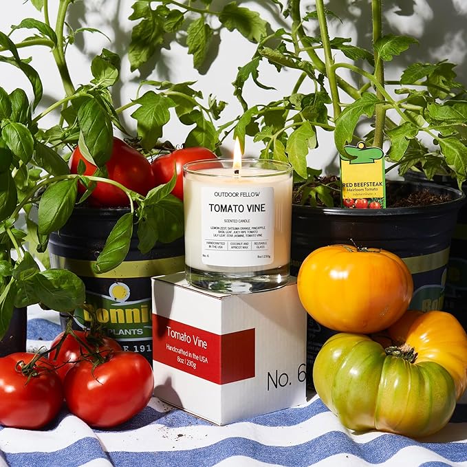 Outdoor Fellow Tomato Vine Scented Candle – 8oz Coconut Wax Blend – Strong Scent Throw – Inspired by Backyard Tomato Plants – Luxury Tomato Leaf Candle in Reusable Glass Jar - Bloomnest