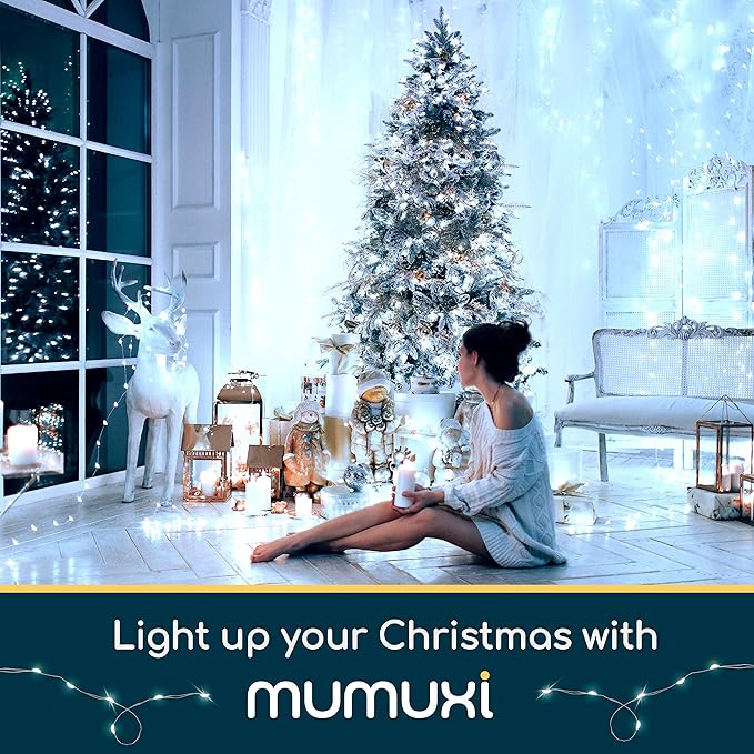 MUMUXI 20 Pack 3.3ft Fairy Lights Battery Operated String Lights, Mini White LED Powered, Waterproof, Silver Wire Firefly Mason Jar for Home, Party, Wedding Decorations, Cool White - Bloomnest