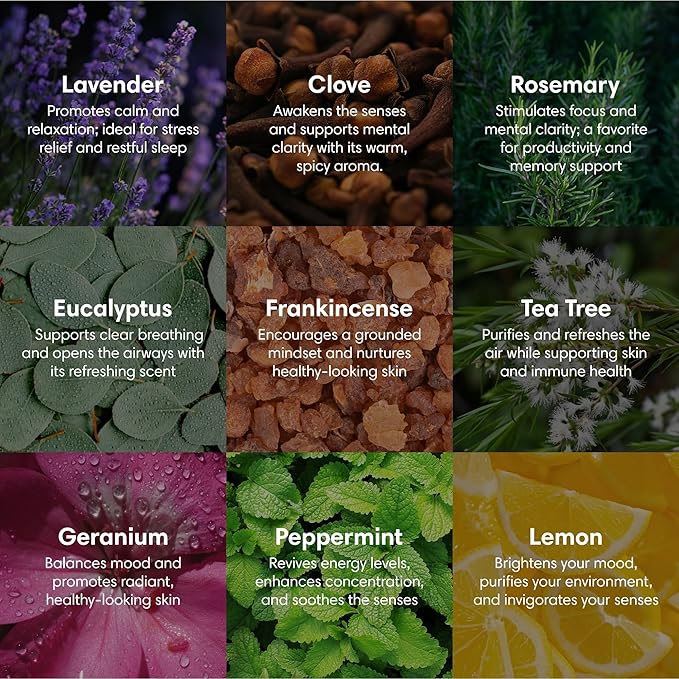 ProSeed Organic Essential Oil – Steam Distilled for Aromatherapy, Calm & Skin Care – Non-GMO, Handmade 10ml (0.33oz) (Lavender) - Bloomnest