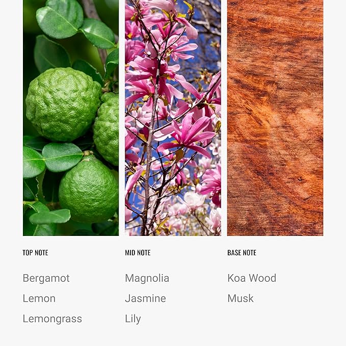 Hotel Collection Diffuser Oil-24K Magic Pro-Pod-Aromatherapy Essential Fragrance Oil-Italian Bergamot, Lemongrass & Sweet Laurel Leaf-50ML 1.7 Fl oz - Bloomnest