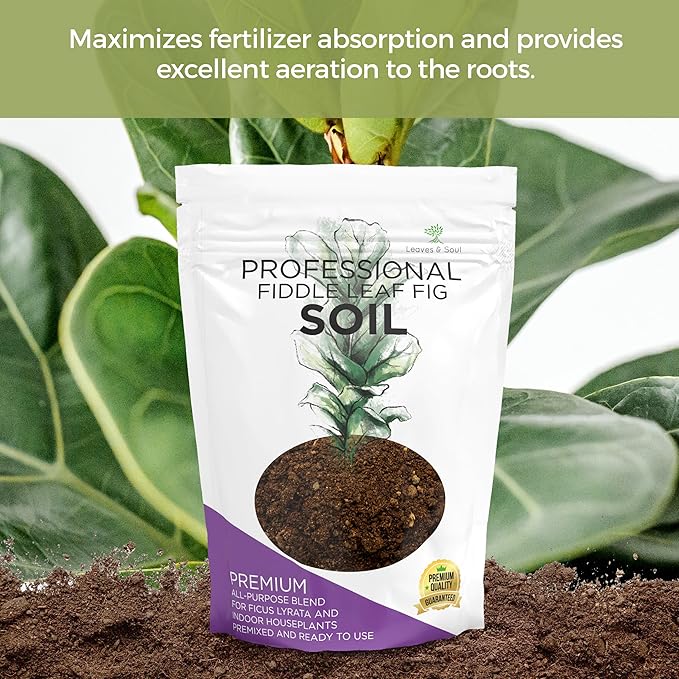 Fiddle Leaf Fig House Plant Soil Premium All Purpose Blend | Large 2.2 Quarts | Ready to Use for Indoor Houseplants | Peat, Sawdust, Course Sand and Pinebark | Made in USA - Bloomnest