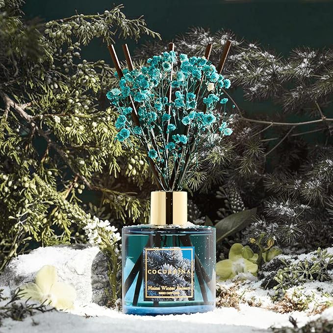 COCORRÍNA Reed Diffuser - Maine Winter Balsam Reed Diffuser Set with 8 Sticks & Preserved Baby's Breath, Reed Diffuser for Home Bathroom Shelf Decor - Bloomnest
