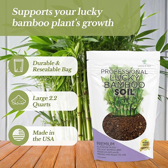 Professional Lucky Bamboo Soil | Large 2.2 Quarts Ready to Use for Lucky Bamboo Plants | Peat Moss, Coco Coir, Perlite, Dolomite | Made in USA - Bloomnest