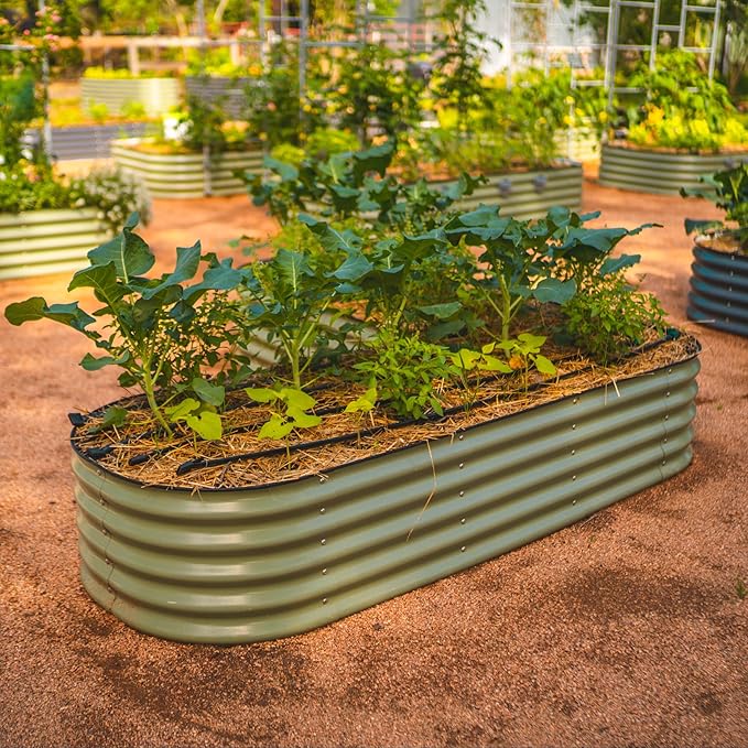 Vego garden Raised Garden Bed Kits, 17" Tall 6 in 1 Modular Metal Raised Planter Bed for Vegetables Flowers Patio Ground Planter Box-Olive Green - Bloomnest