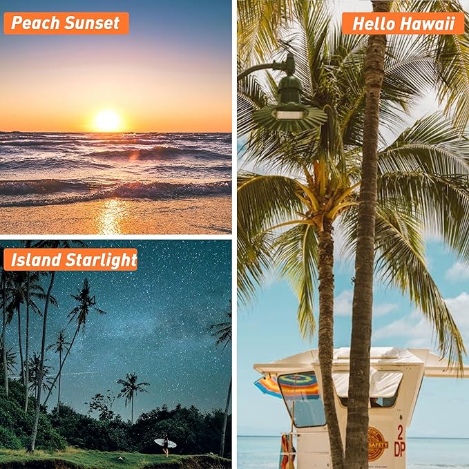Hawaii Fragrance Oil, ESSLUX 6x10ml Essential Scented Oils Set, Candle Making Scents, Soap Making, Laundry, Diffuser Oil Fresh Scents for Spring Summer, Ocean Breeze, Beach Coconut - Bloomnest