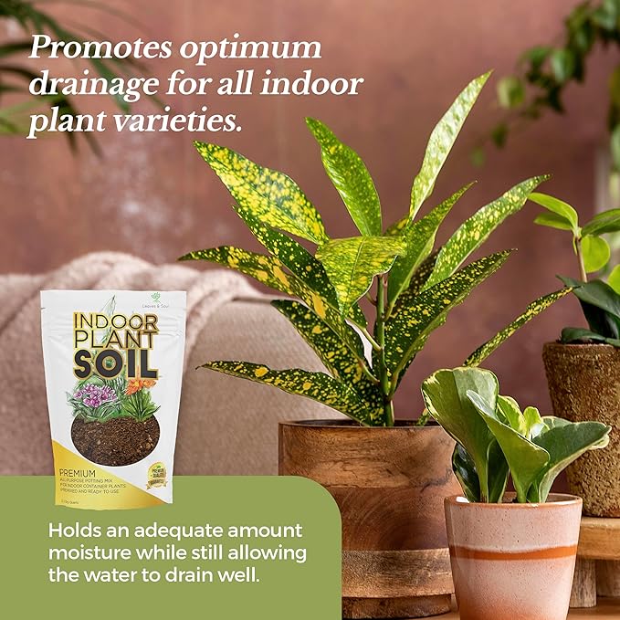 Indoor Plant Soil Premium All Purpose Blend | Large 2.2 Quarts | Ready to Use for Indoor Container and Houseplants | Peat, Coco Coir, Perlite, Dolomite | Made in USA - Bloomnest