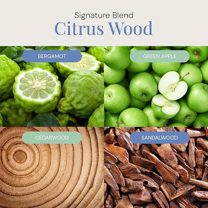 Citrus Wood Aroma Oil, Essential Oils Blend for Diffusers & Scent Machines, Fresh Bergamot & Green Apple, Aromatherapy, Cold Air Diffuser Compatible, 300 mL - Bloomnest