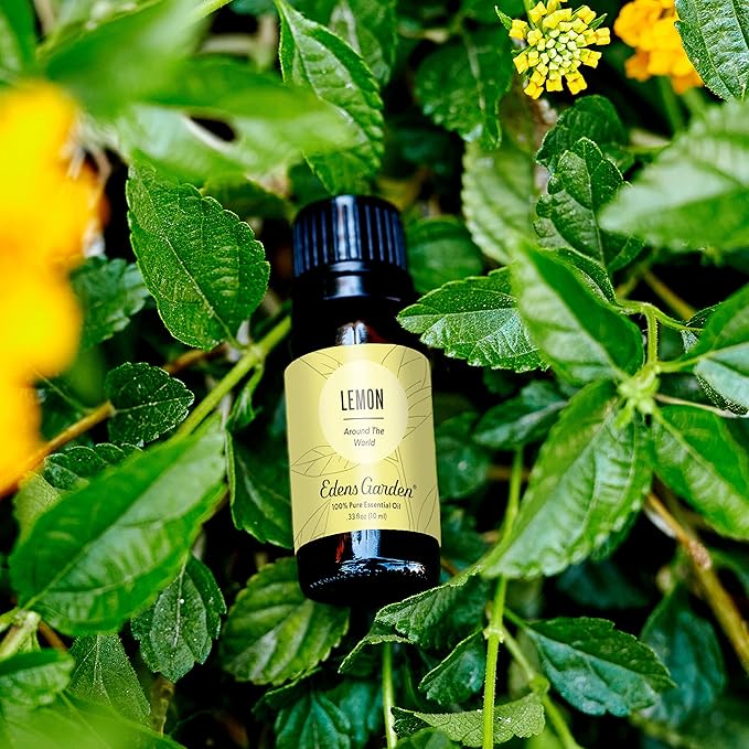 Edens Garden Lemon Around The World Essential Oil- 100% Pure Premium Grade, Undiluted, Natural, Therapeutic, Aromatherapy, The Best for Diffuser, Candle, Laundry, Humidifiers 118 ml (4 fl oz) EdensGarden