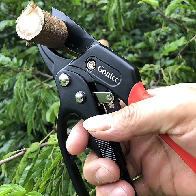 gonicc 8" Professional Ratchet Anvil Pruning Shears (GPPS-1011), Ratcheting Mechanism, Anvil groove design, Reinforced Design Handle, Garden Shears Clippers, Anvil Pruner, Hand Tools Scissors Loppers - Bloomnest