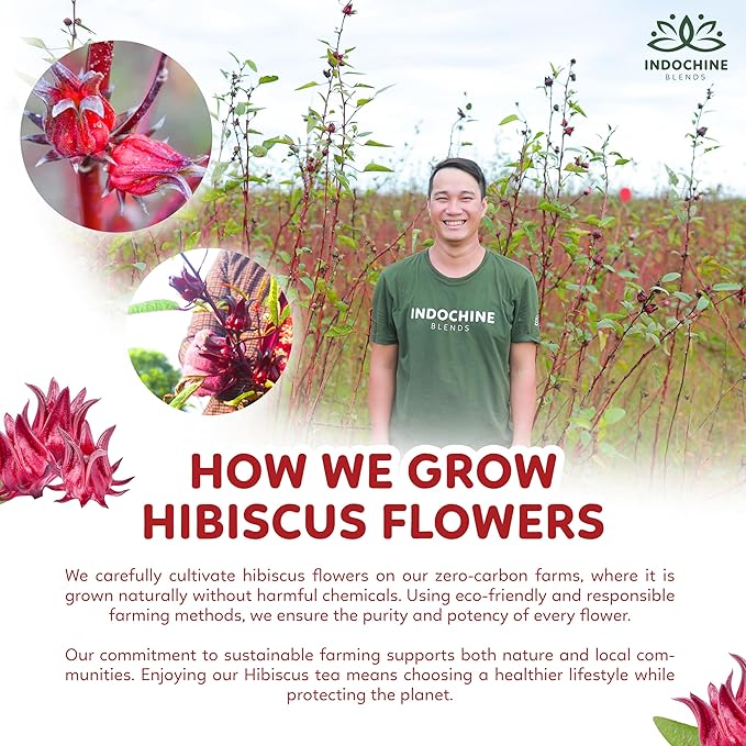 Indochine Blends Hibiscus Tea Bags | 100% Pure Hibiscus Flower | Sugar-Free, Caffeine-Free Herbal Tea | Double Chamber, Individually Wrapped Bags| Rich in Natural Goodness and Flavor | 3.5 oz | 50 Tea Bags - Bloomnest