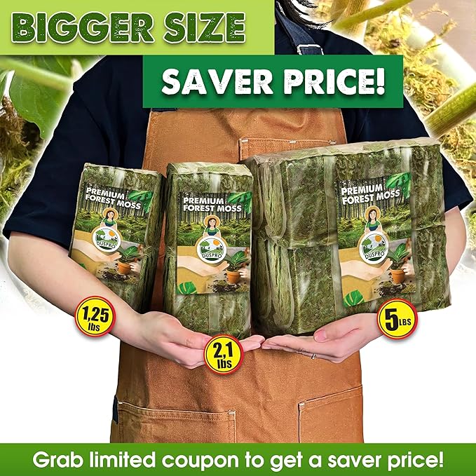 DUSPRO Dried Moss for Potted Plants, Forest Orchid Moss for Potting Mix, Sphagnum Potting Moss for Plants Indoor, Real Moss Soil Cover for Houseplant (2.1 LBS) - Bloomnest