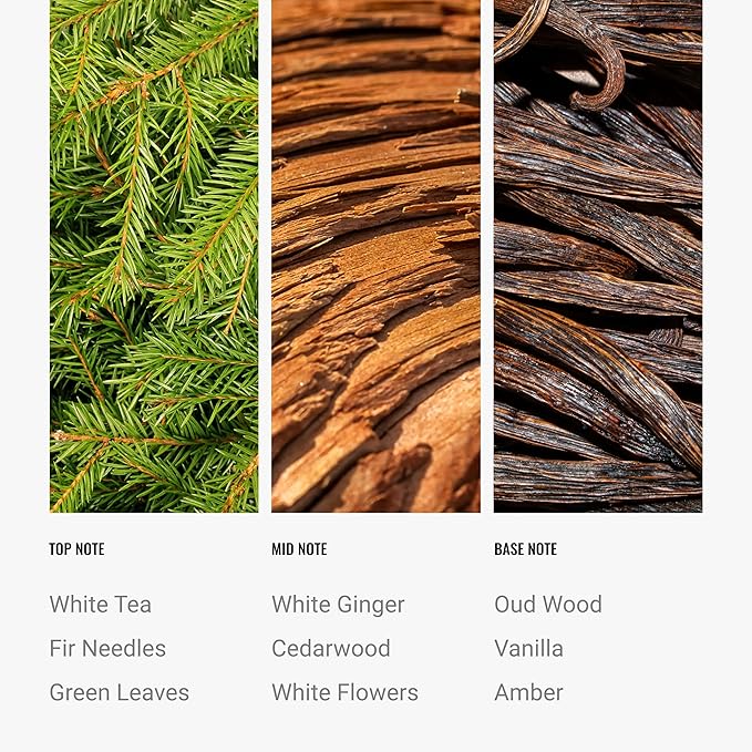 Hotel Collection Diffuser Oil - Botanical Garden - Aromatherapy Essential Fragrance Oil - Green Leaves, White Ginger, and Vanilla - 120mL 4.1 Fl oz - Bloomnest