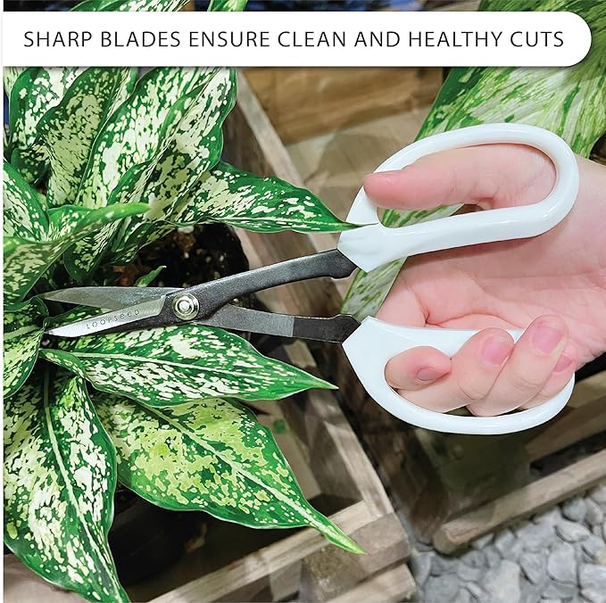 Precision Gardening Scissors Plant Trimming Pruning Shears Garden Pruners for Orchid Bonsai Hydroponic Flower Clipper Garden Snip 8 Inch Long - Bloomnest