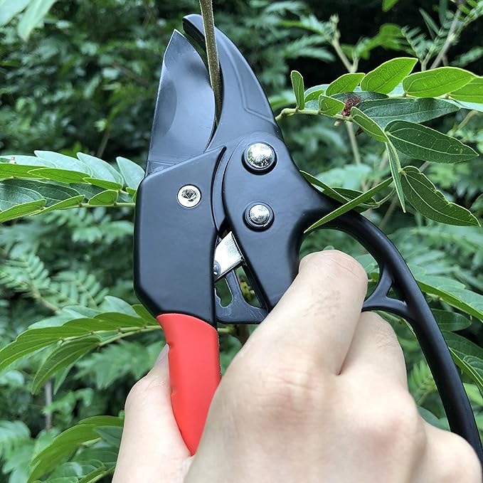 gonicc 8" Professional Ratchet Anvil Pruning Shears (GPPS-1011), Ratcheting Mechanism, Anvil groove design, Reinforced Design Handle, Garden Shears Clippers, Anvil Pruner, Hand Tools Scissors Loppers - Bloomnest