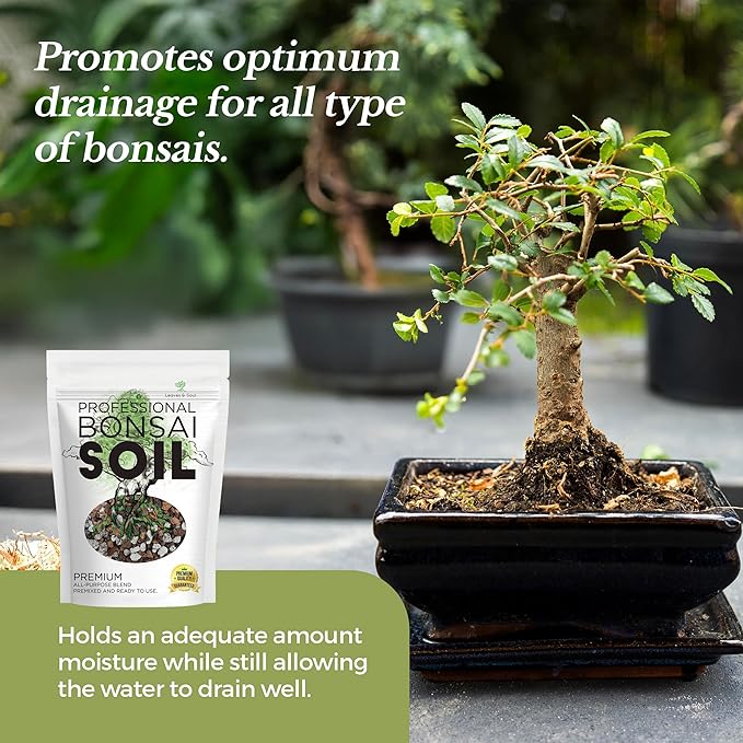Bonsai Soil Premium All Purpose Blend | Pre-Mixed Ready to Use for Fast Drainage | Large 2.2 Quarts | Lava, Limestone Pearock, Calcined Clay and Pinebark | Made in USA - Bloomnest