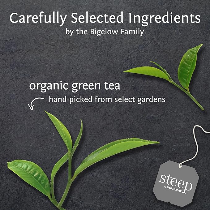 steep Organic Pure Green Tea, Caffeinated, 20 Count (Pack of 6), 120 Tea Bags Total - Bloomnest