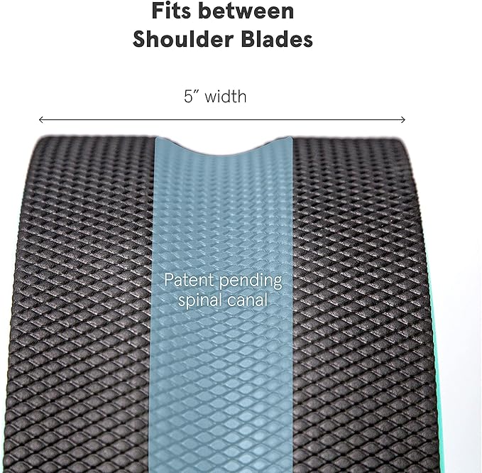 Chirp Wheel Foam Roller – Targeted Back & Neck Relief, Lumbar Spine Stretcher, Spinal Decompression Back Stretcher, Massage Roller with Density Foam for Physical Therapy, Supports 500lbs, 6-Inch Mint - Bloomnest