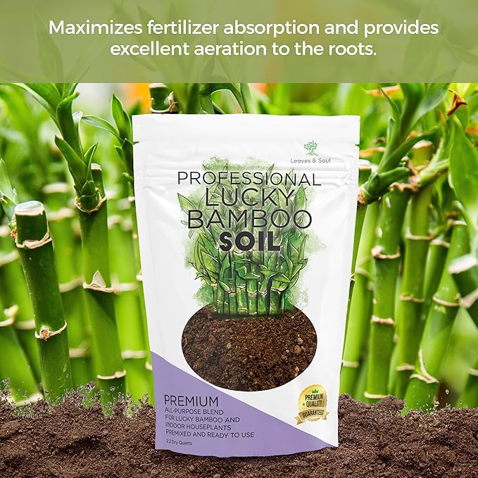 Professional Lucky Bamboo Soil | Large 2.2 Quarts Ready to Use for Lucky Bamboo Plants | Peat Moss, Coco Coir, Perlite, Dolomite | Made in USA - Bloomnest
