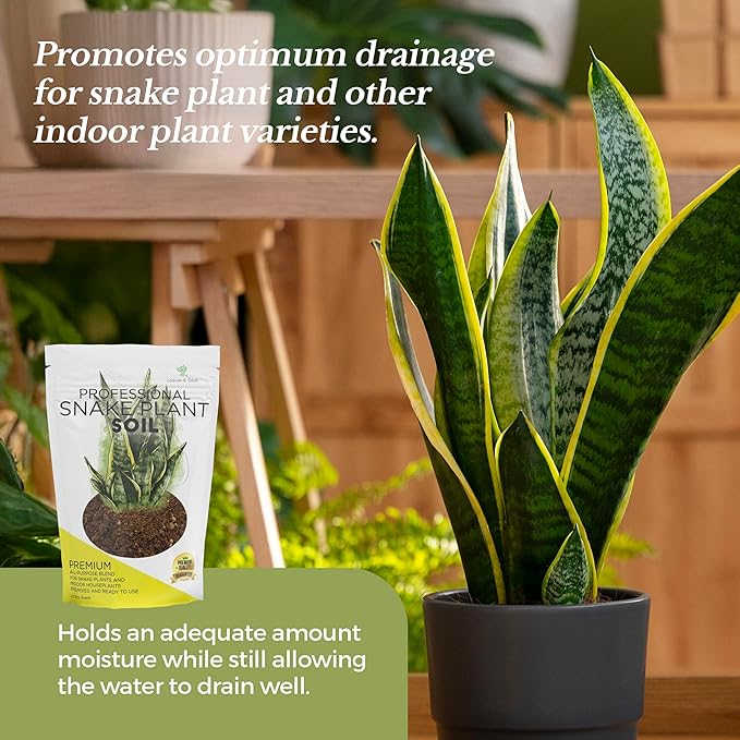 Professional Snake Plant Soil | Large 2.2 Quarts Ready to Use for Snake Plants | Peat Moss, Coco Coir, Perlite, Dolomite | Made in USA - Bloomnest