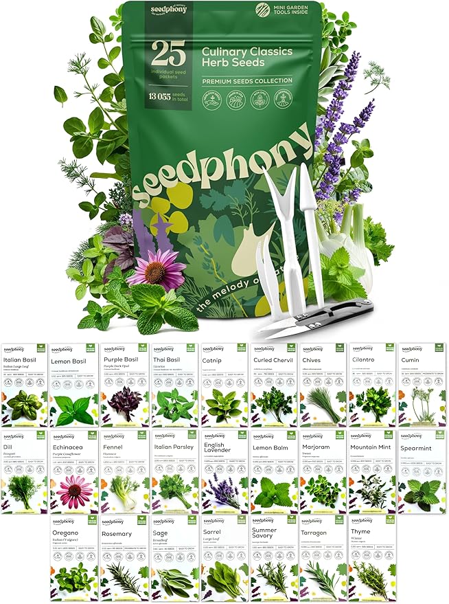 25 Culinary Herb Seeds Variety Pack - 13,055+ Non-GMO Heirloom Herbs Seeds for Planting Indoor & Outdoor: Rosemary, Basil, Catnip, Cilantro, Dill, Parsley, Oregano, Thyme, Mint, Tarragon, Lavender - Bloomnest