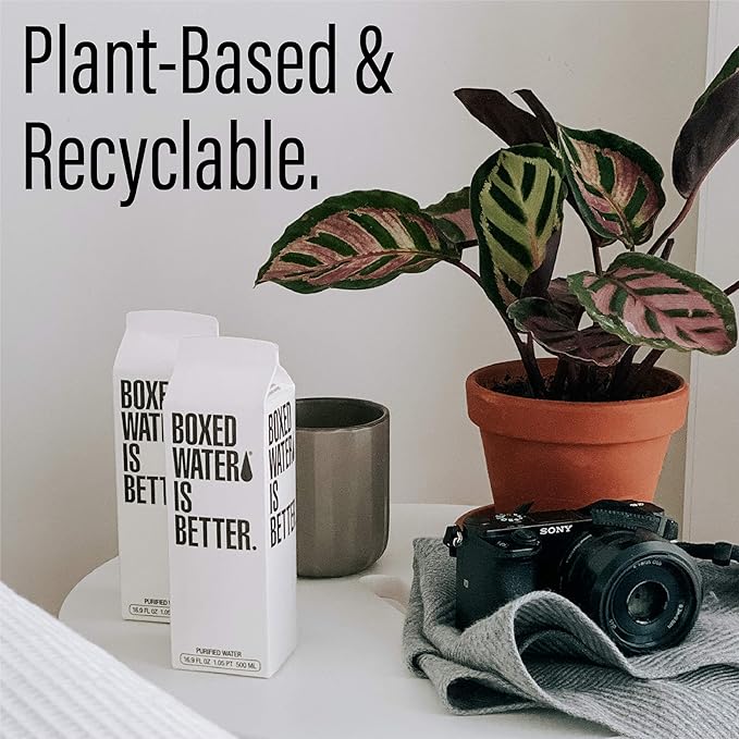 Boxed Water 16.9 oz. (12 Pack) – Purified Drinking Water in Plant-Based Cartons – BPA-Free, Refillable, Reusable – More Sustainable than Premium Plastic Bottles - Bloomnest