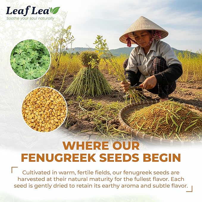LeafLea 80 Premium Fenugreek Tea Bags, Natural Fenugreek Seed for Toasty Flavor & Sweet Aroma, Fenogreco Tea with Gentle Warmth, Caffeine-Free, Sugar-Free, Vegan, Individually Wrapped for Freshness - Bloomnest